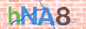 CAPTCHA Kép