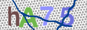 CAPTCHA Kép