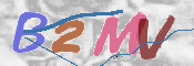 CAPTCHA Kép