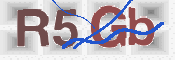CAPTCHA Kép