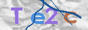 CAPTCHA Kép
