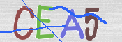 CAPTCHA Kép
