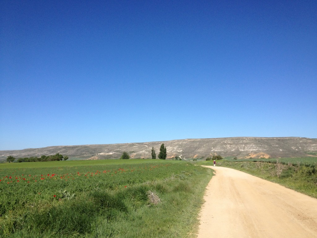 20120518-175328.jpg