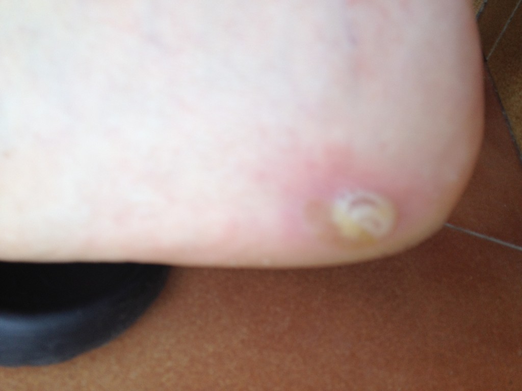20120519-181943.jpg