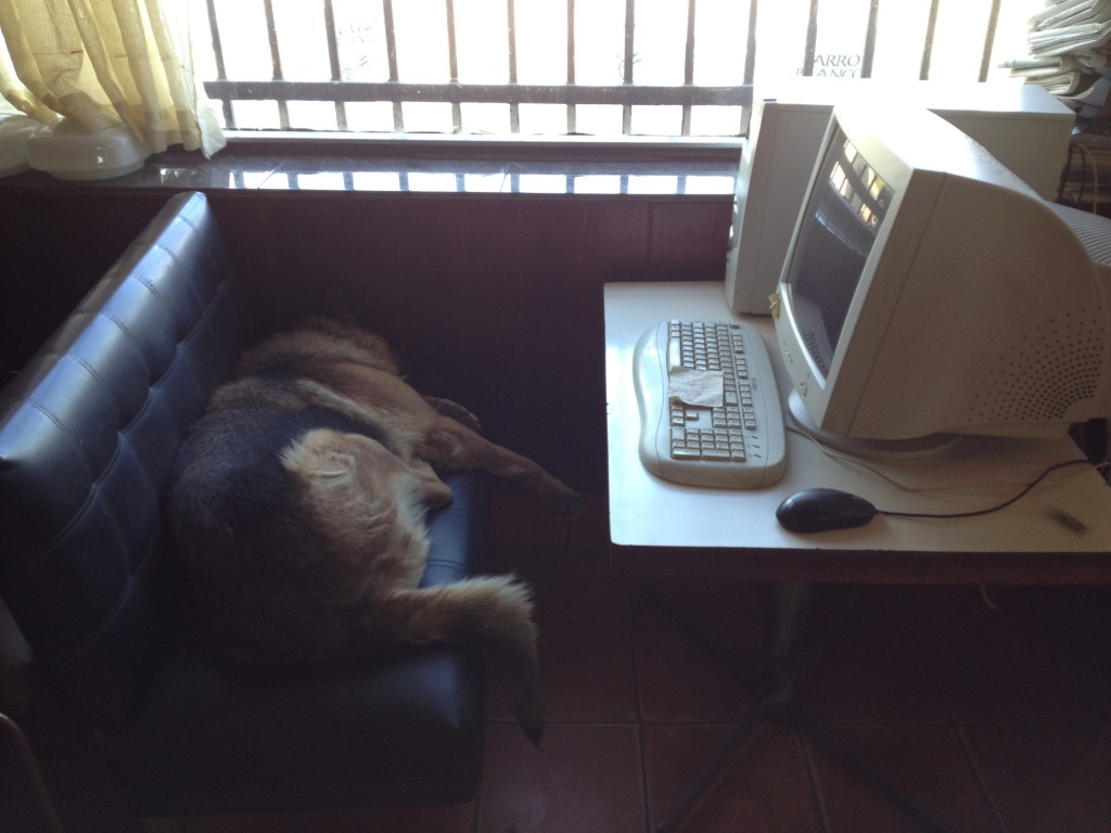 20120521-185749.jpg