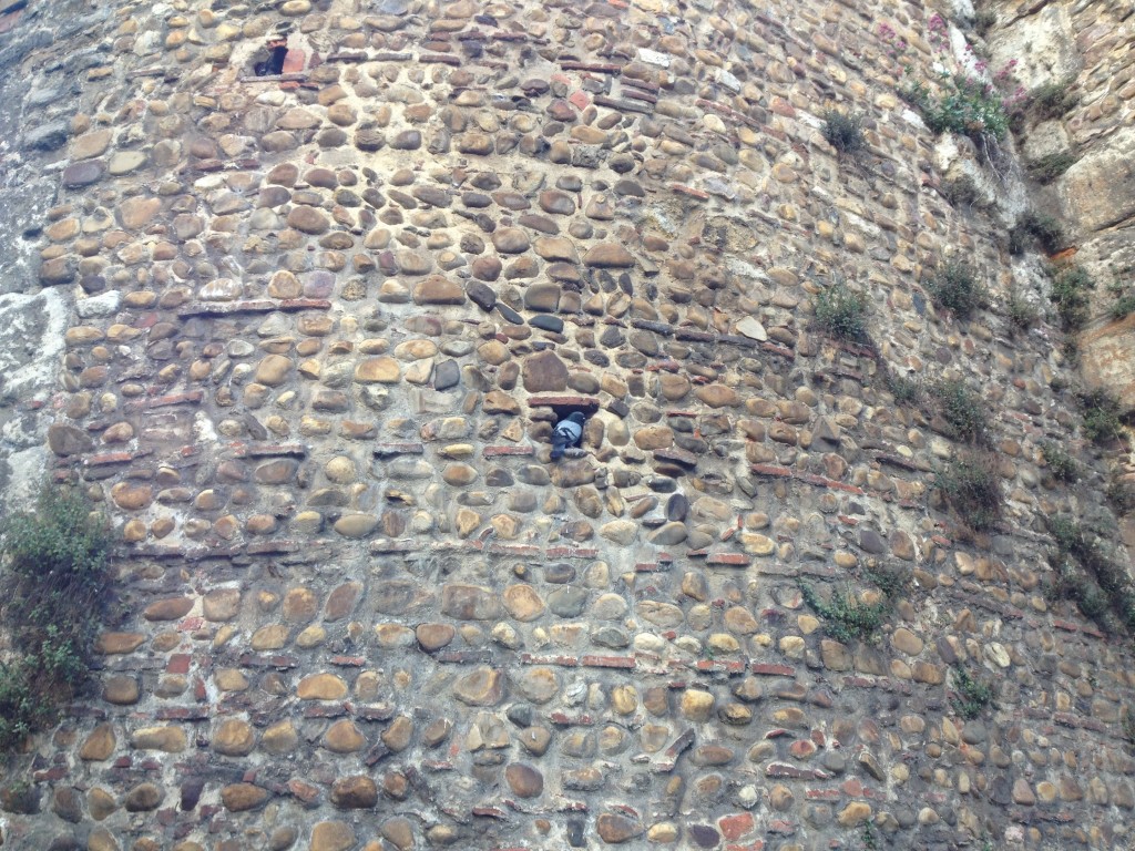 20120522-210500.jpg