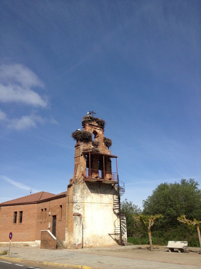 20120522-210558.jpg