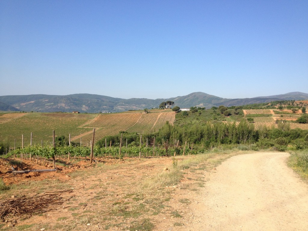 20120525-201526.jpg