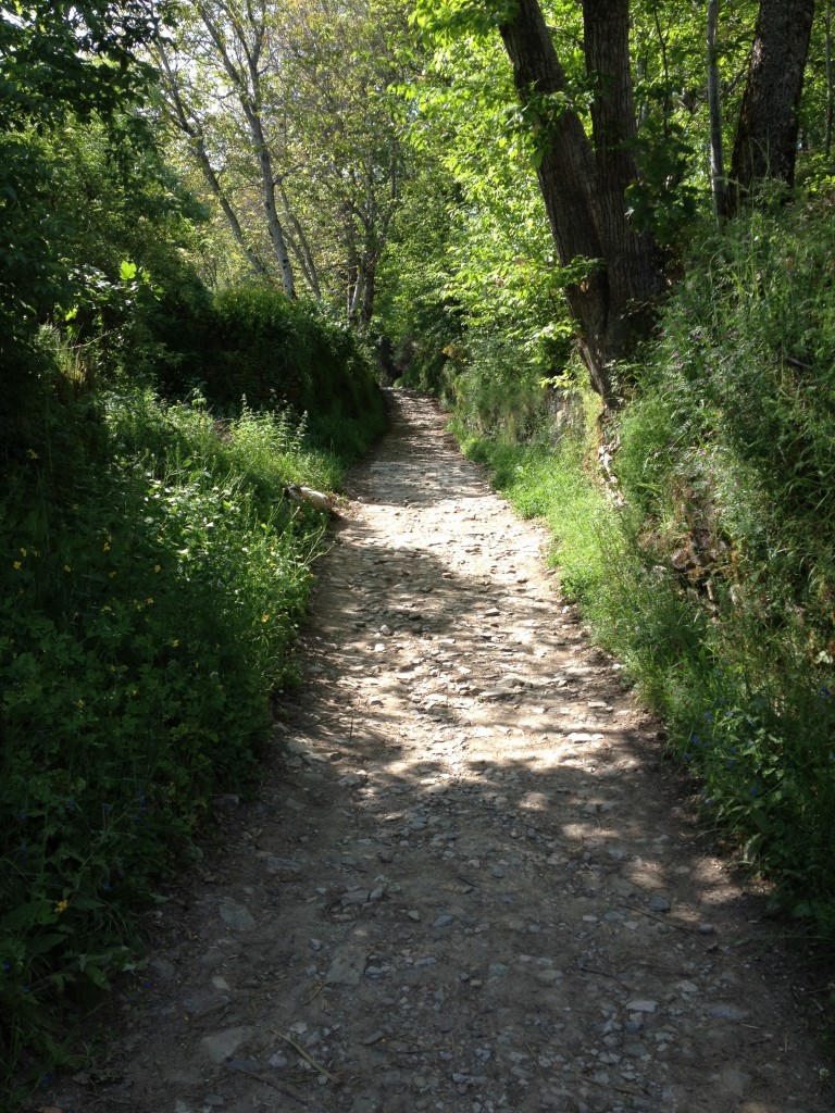 20120525-203439.jpg