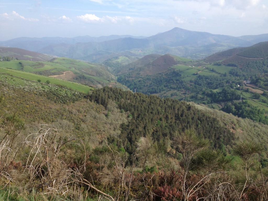 20120525-203454.jpg