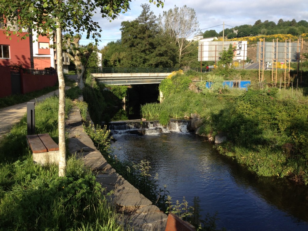 20120528-101459.jpg