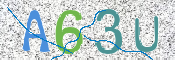 CAPTCHA Kép