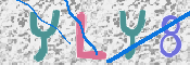 CAPTCHA Kép