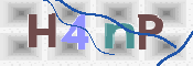 CAPTCHA Kép